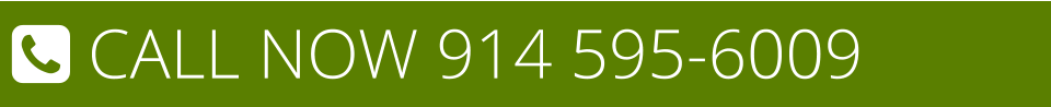  CALL NOW 914 595-6009