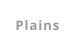 Plains